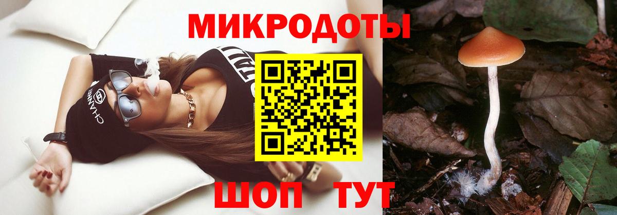 хочу наркоту  Вход с VPN  Гай  Псилоцибиновые грибы ЛСД 